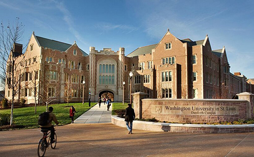 圣路易斯華盛頓大學錄取要求